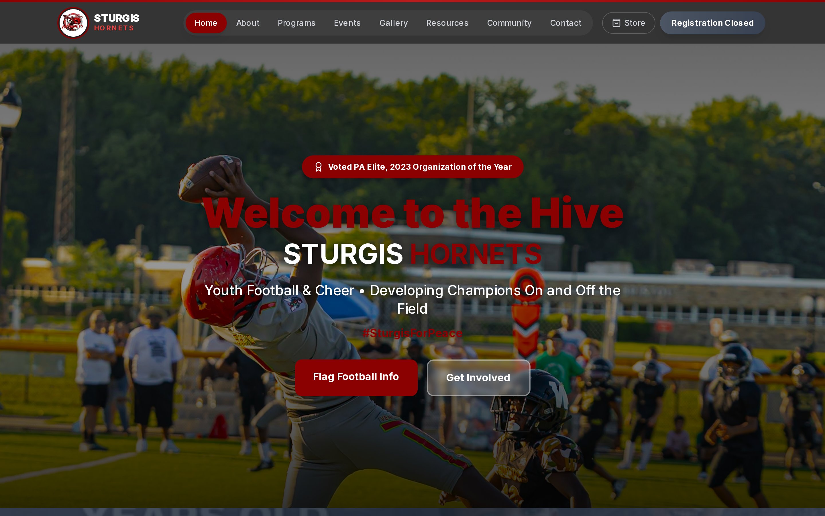 Hornets Youth Sports